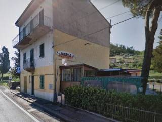 Zona