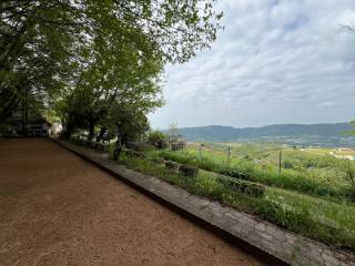 Vista