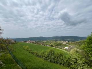 Vista