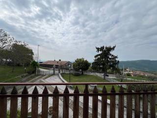 Vista