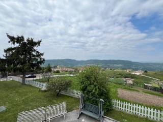 Vista