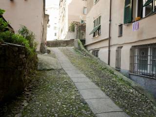 Zona