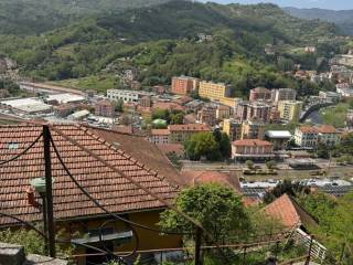 Vista