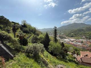 Vista