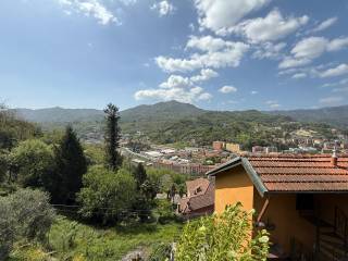 Vista