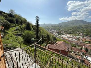 Vista