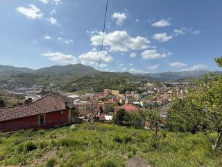 Vista