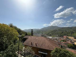 Vista