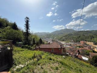 Vista