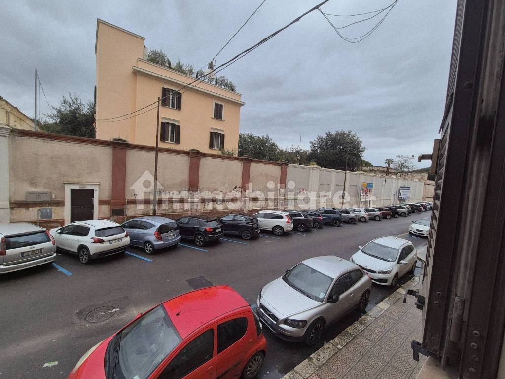 Vista