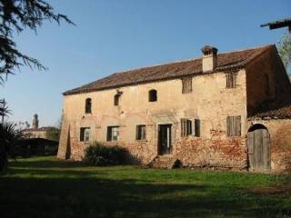 Zona