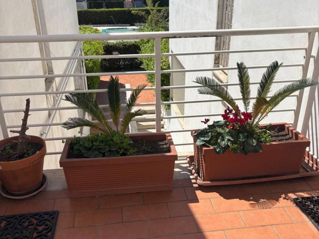 Terrazzo