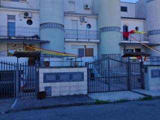 Zona