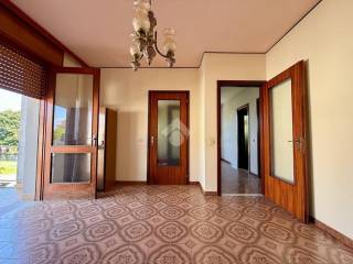 Ingresso