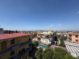 Vista