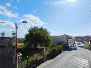 Zona