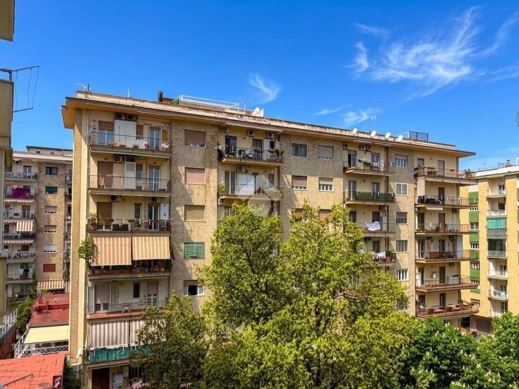 Vista