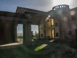 Zona