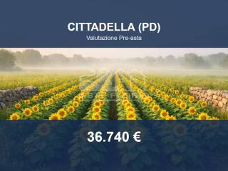 Altro