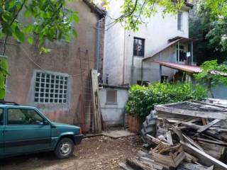 Zona