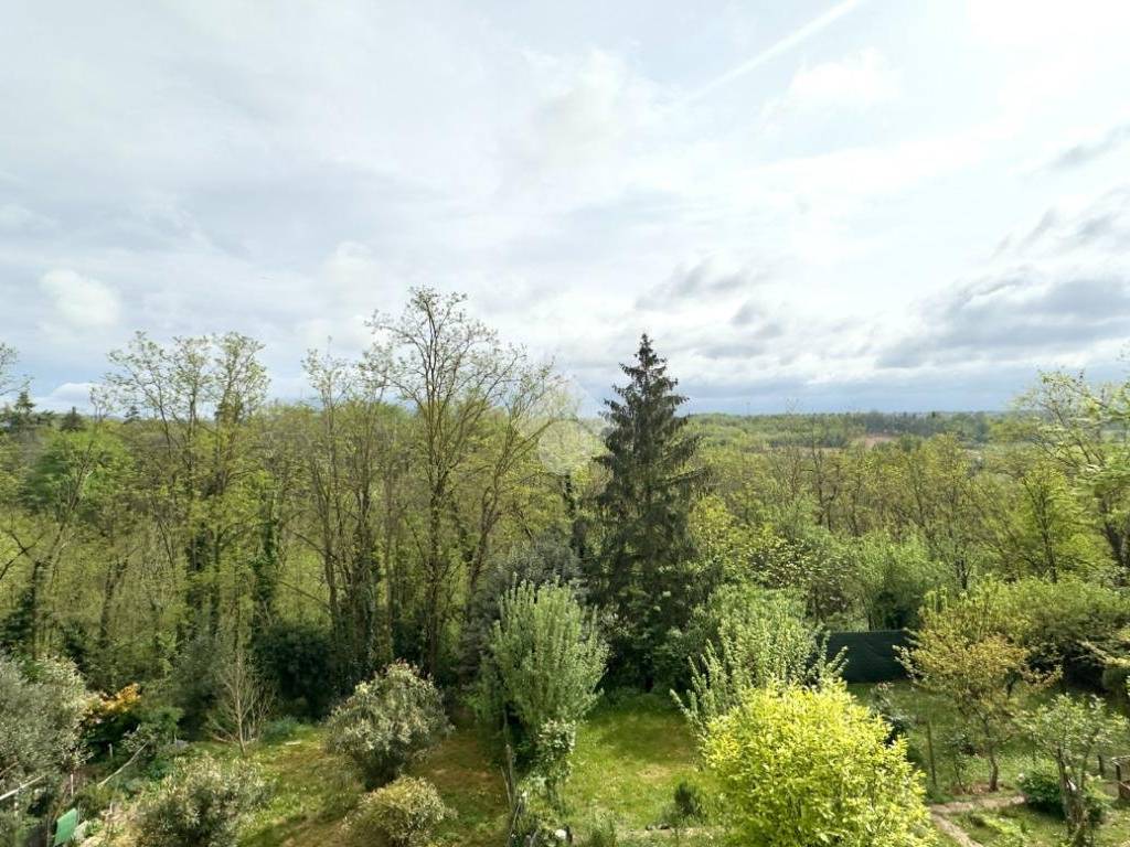 Vista
