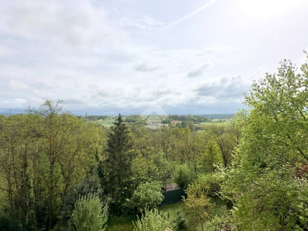 Vista