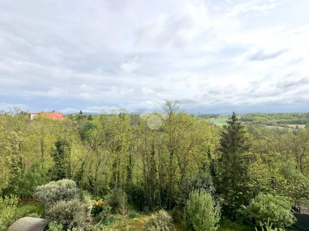 Vista