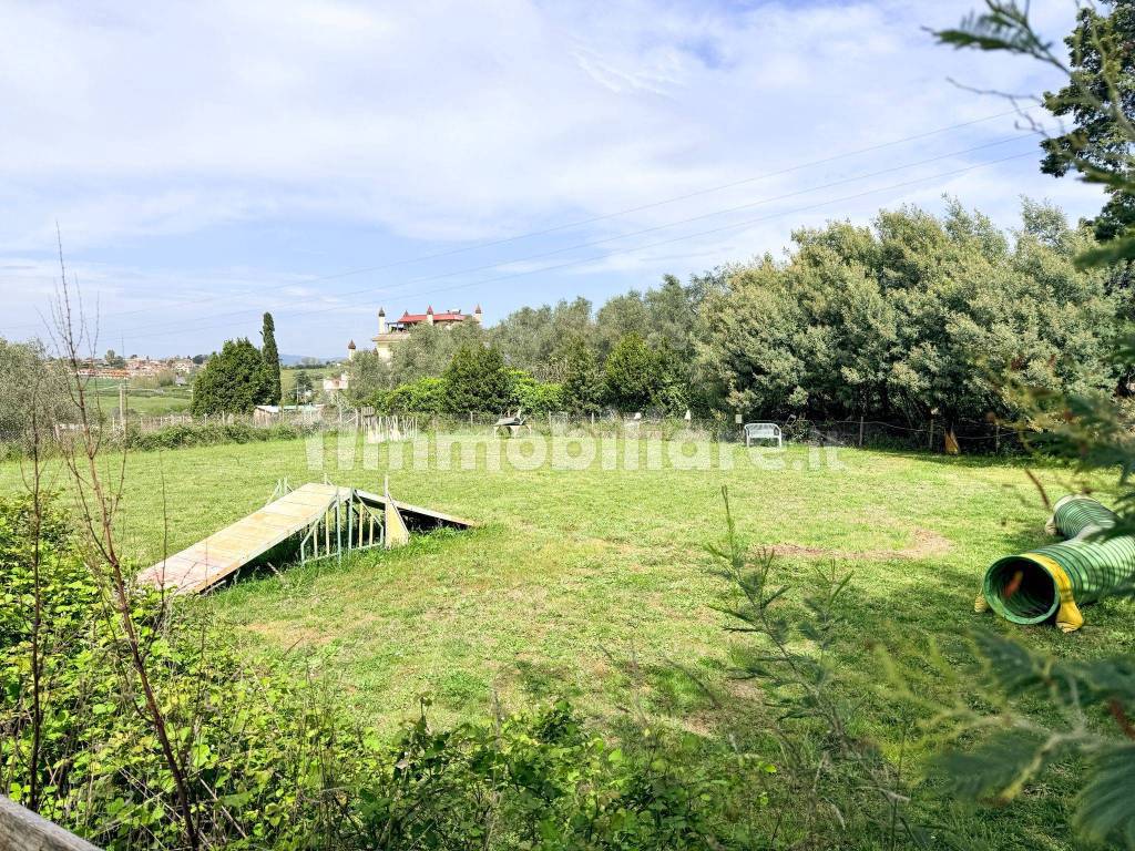 Terreno