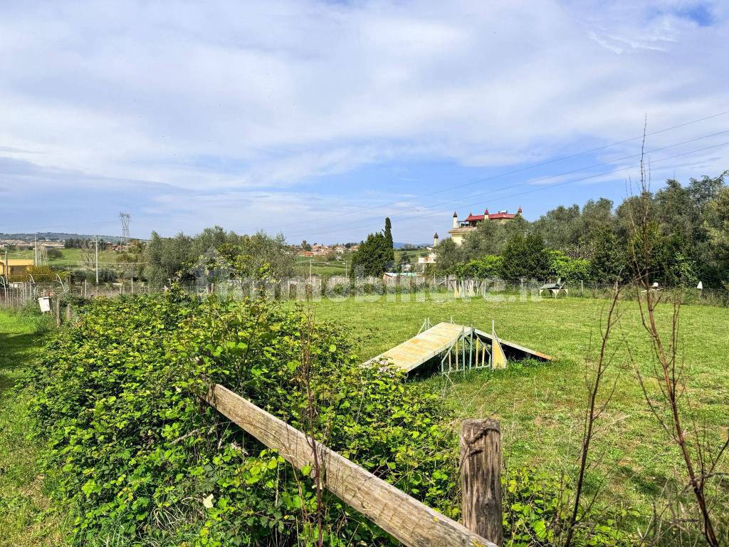Terreno