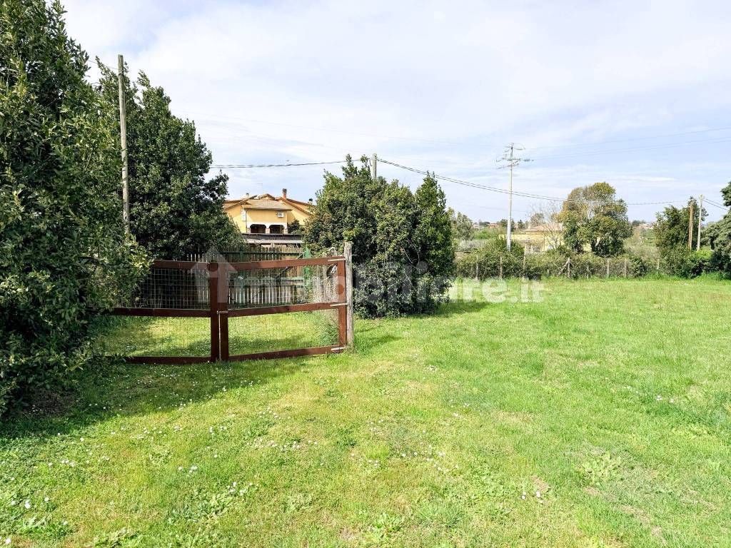 Terreno