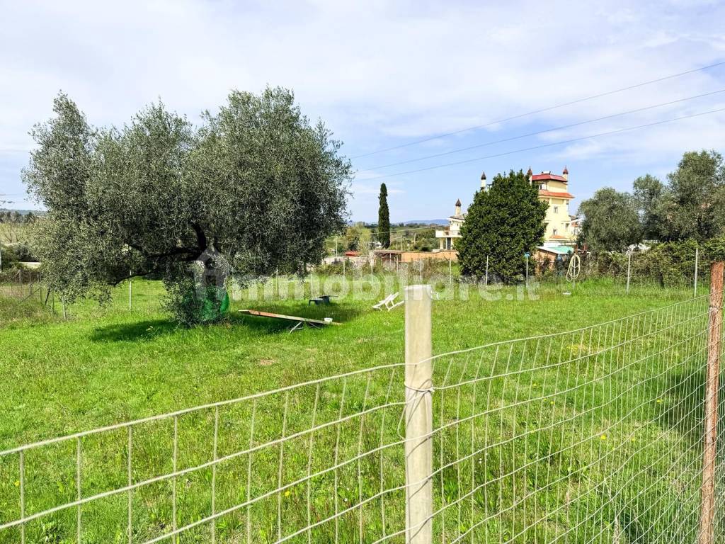 Terreno