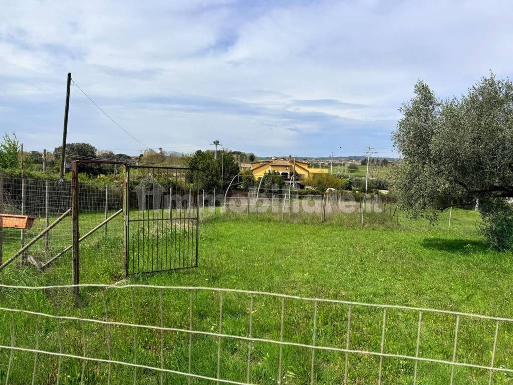 Terreno