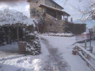 Zona