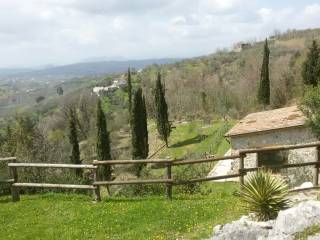 Vista