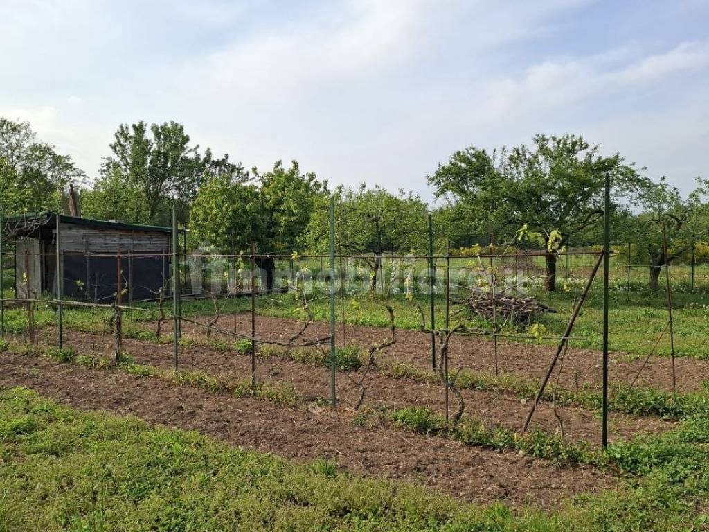 Terreno