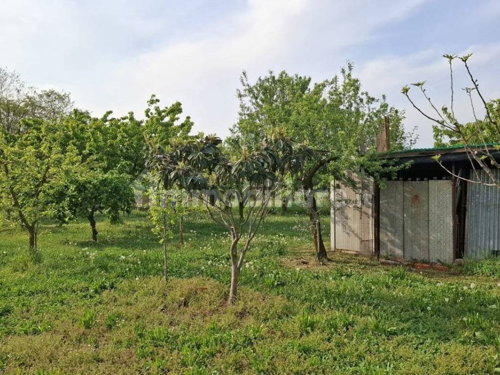 Terreno