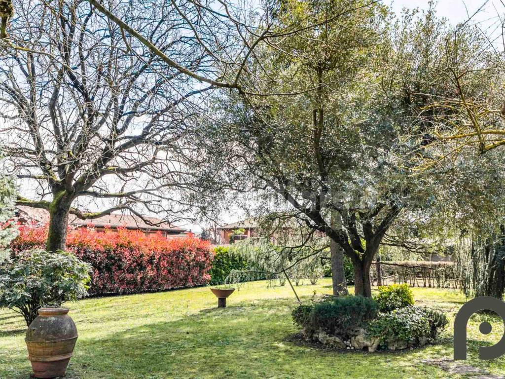 Giardino