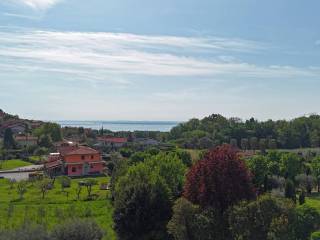 Vista