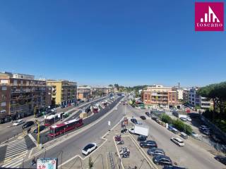 Vista