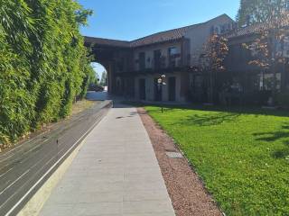 Zona