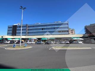 Zona