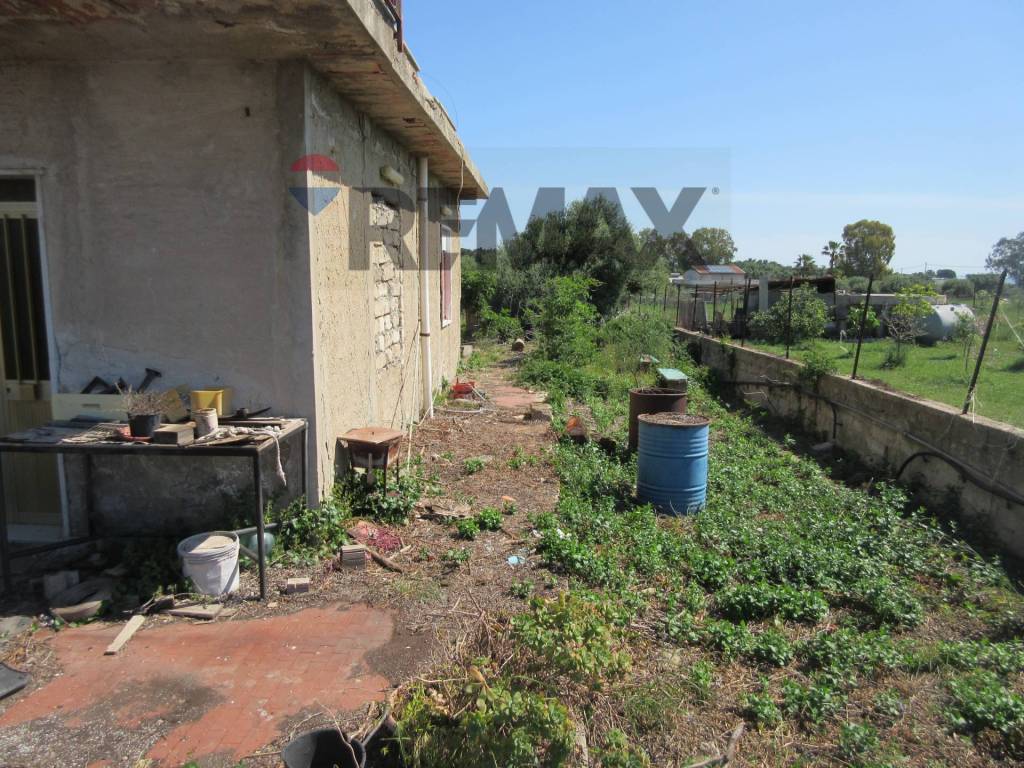 Terreno