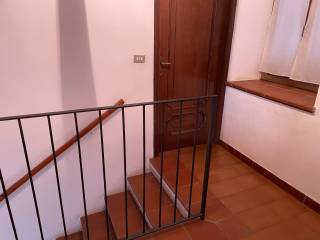 Scala