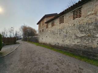Zona