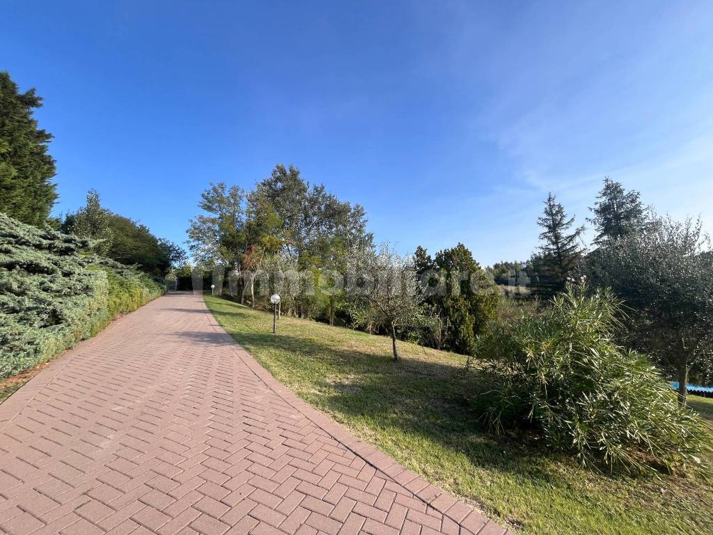 Giardino