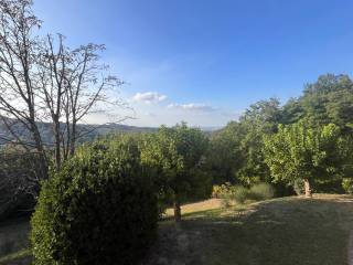 Vista