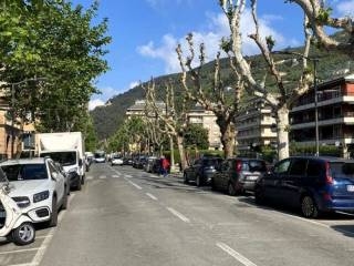 Zona