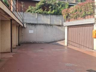 Zona