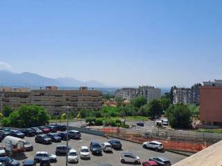 Vista