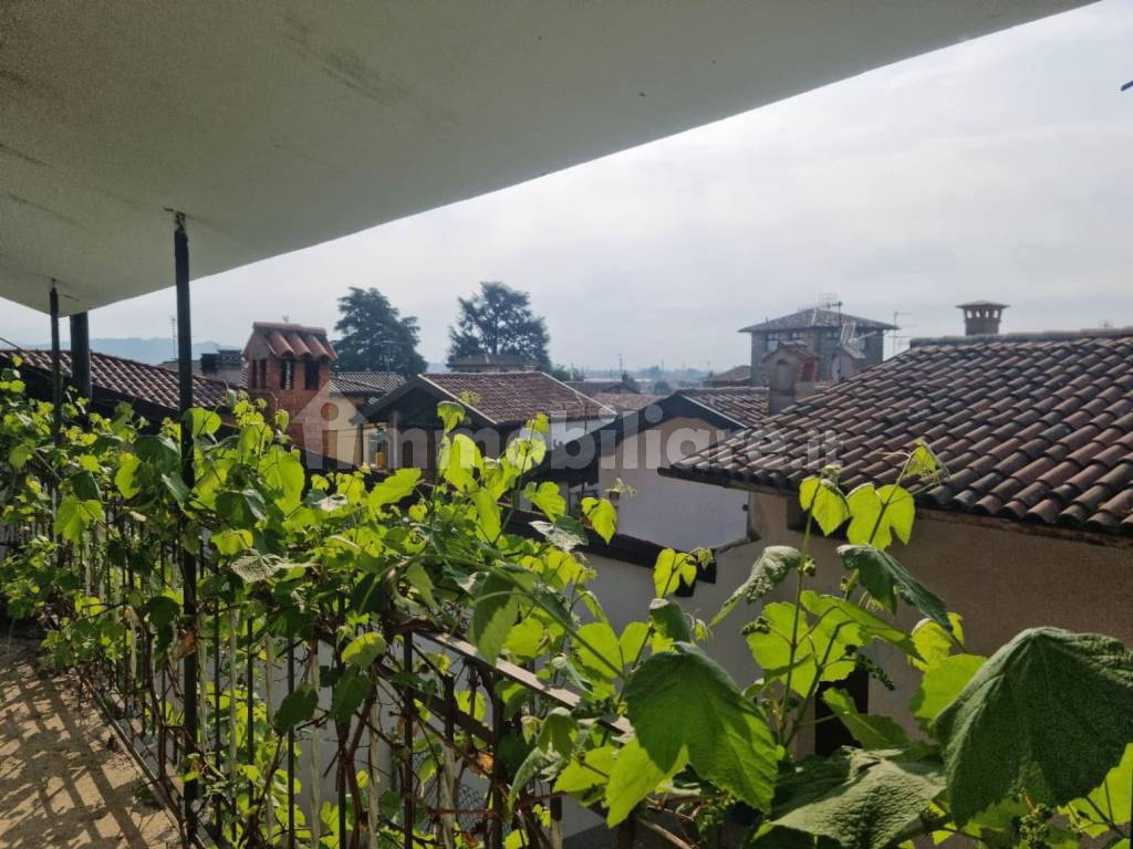 Vista